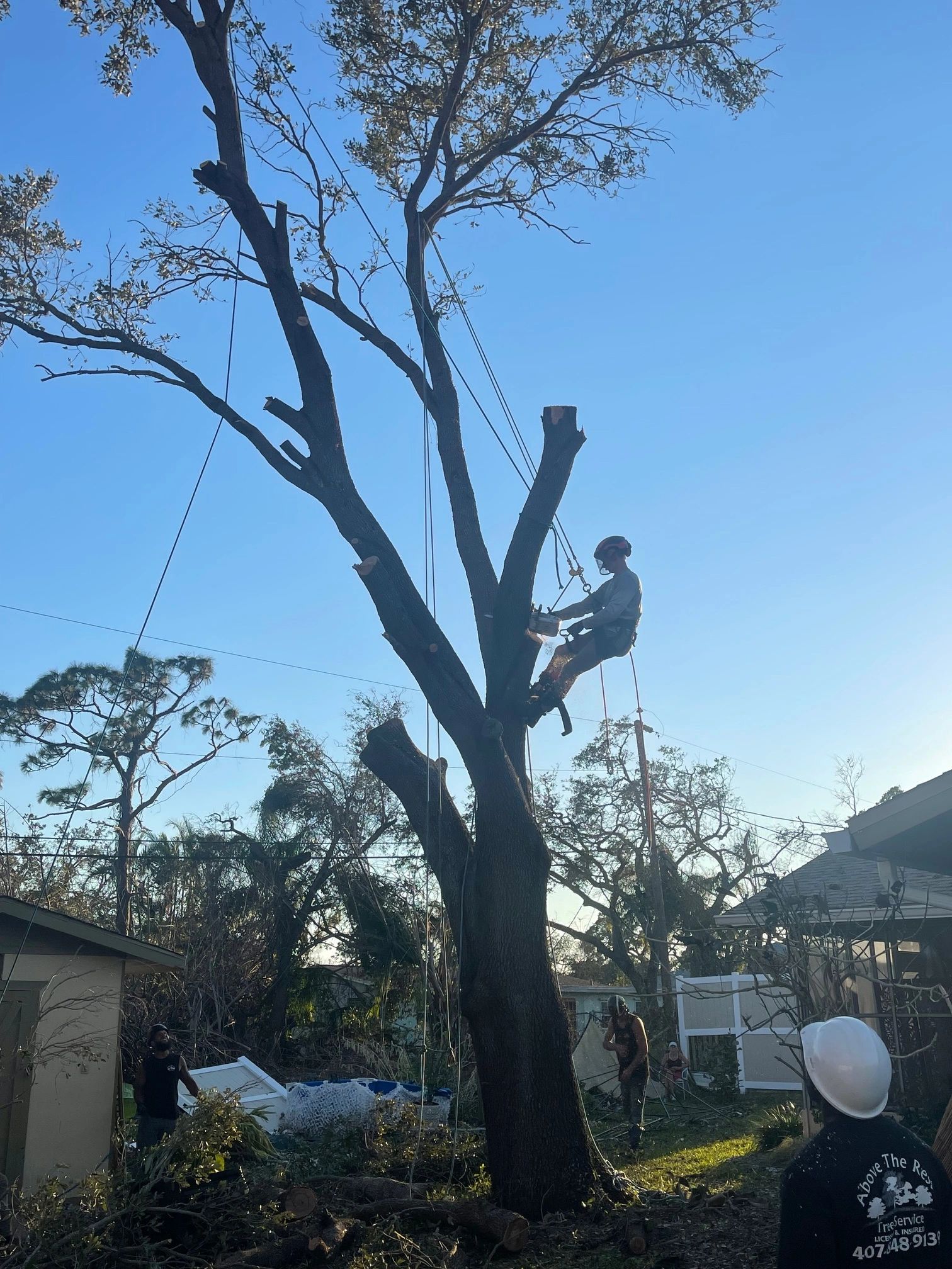 Professional renovation contractor team at work